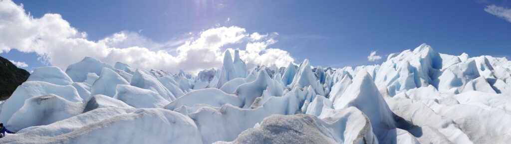 Patagonia: Sangre fría, corazón caliente.