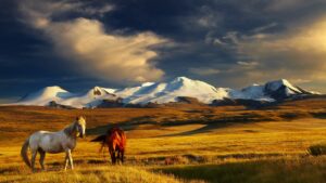 Viaje a medida a Mongolia