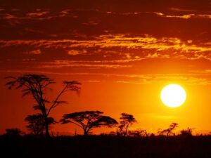 Atardecer en África