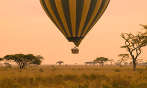 Los mejores safaris por Tanzania