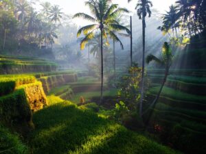 Adentrarse en el corazón de Bali