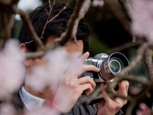 Las galerías más ocultas de la ciudad de Tokio