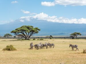 Safari en bicicleta por Chyulu Hills