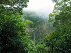 Descubrir un paisaje de ensueño