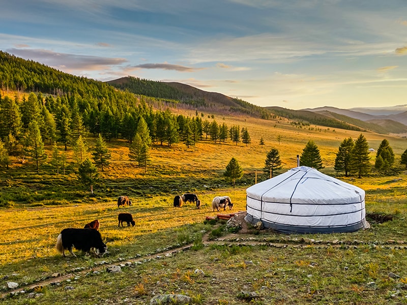 Mongolia. La cultura nómada