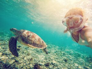 Snorkel entre tortugas en Maldivas