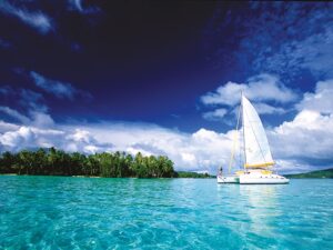 • Navegar en barco por sus aguas cristalinas y bucear entre ballenas de la mano de un experto naturalista y un buzo para descubrir cómo cuidan de sus crías.