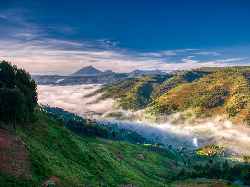 Ruanda/Uganda. Ascenso a los volcanes Virunga, Muhavura, Mgahinga o Sabinyo