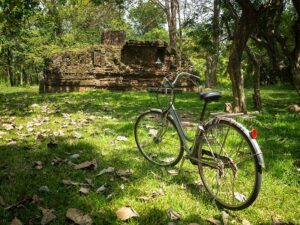 Recorrer los infinitos arrozales en bicicleta