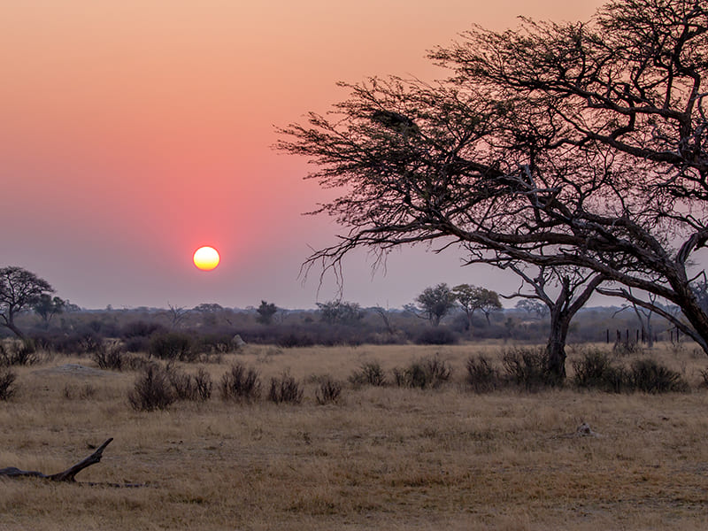 Zambia. Safari nocturno