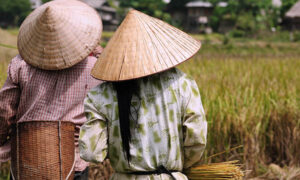 La cultura de Vietnam