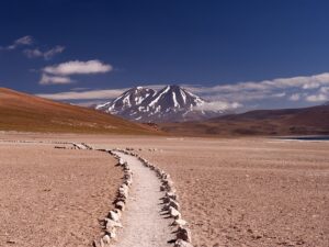 Safari en el desierto